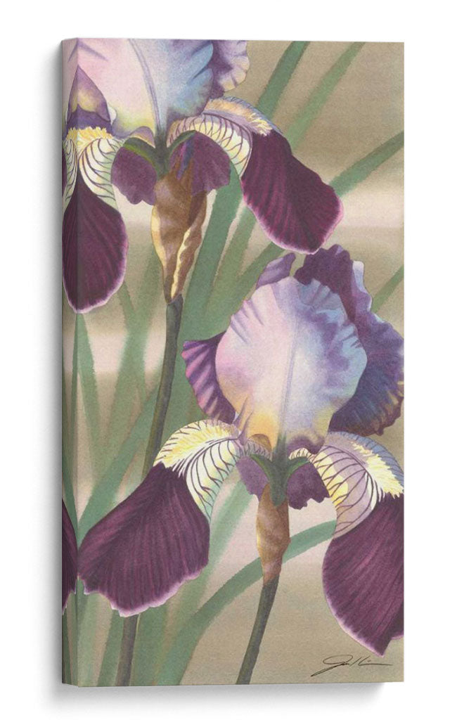 Iris Asiático Ii - Jason Higby | Cuadro decorativo de Canvas Lab