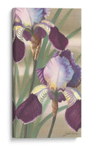 Iris Asiático Ii - Jason Higby | Cuadro decorativo de Canvas Lab
