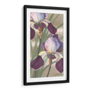 Iris Asiático Ii - Jason Higby | Cuadro decorativo de Canvas Lab