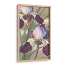 Iris Asiático Ii - Jason Higby | Cuadro decorativo de Canvas Lab
