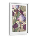Iris Asiático Ii - Jason Higby | Cuadro decorativo de Canvas Lab