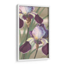 Iris Asiático Ii - Jason Higby | Cuadro decorativo de Canvas Lab
