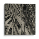 Estudio De Bambú Ii - Tang Ling | Cuadro decorativo de Canvas Lab
