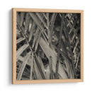 Estudio De Bambú Ii - Tang Ling | Cuadro decorativo de Canvas Lab