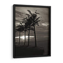 Palmas En La Noche Iii - Tang Ling | Cuadro decorativo de Canvas Lab