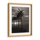 Palmas En La Noche Iii - Tang Ling | Cuadro decorativo de Canvas Lab