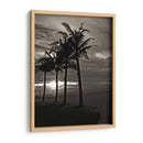 Palmas En La Noche Iii - Tang Ling | Cuadro decorativo de Canvas Lab
