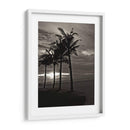 Palmas En La Noche Iii - Tang Ling | Cuadro decorativo de Canvas Lab