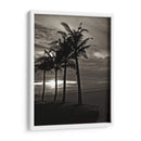 Palmas En La Noche Iii - Tang Ling | Cuadro decorativo de Canvas Lab