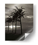 Palmas En La Noche Iii - Tang Ling | Cuadro decorativo de Canvas Lab