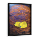 Pescado Enjoyado Ii - Lola Henry | Cuadro decorativo de Canvas Lab