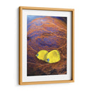 Pescado Enjoyado Ii - Lola Henry | Cuadro decorativo de Canvas Lab