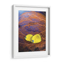 Pescado Enjoyado Ii - Lola Henry | Cuadro decorativo de Canvas Lab