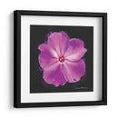 Flor Vibrante Iii - Lola Henry | Cuadro decorativo de Canvas Lab