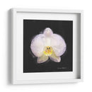 Flor Vibrante Iv - Lola Henry | Cuadro decorativo de Canvas Lab