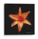 Flor Vibrante Vi - Lola Henry | Cuadro decorativo de Canvas Lab