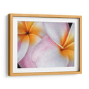 Flores I - Jim Christensen | Cuadro decorativo de Canvas Lab