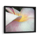 Flores Ii - Jim Christensen | Cuadro decorativo de Canvas Lab