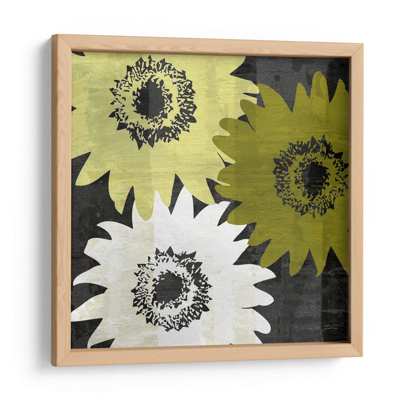 Bloomer Squares Ii - James Burghardt | Cuadro decorativo de Canvas Lab