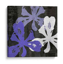 Bloomer Squares Xii - James Burghardt | Cuadro decorativo de Canvas Lab