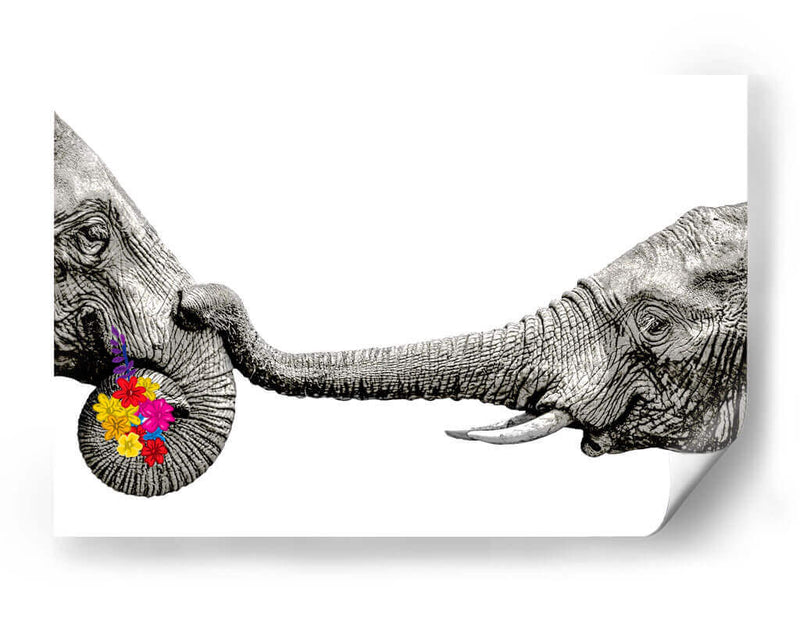 Elephant Flowers White - Hue Art | Cuadro decorativo de Canvas Lab