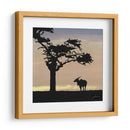 Savanna Ii - James Burghardt | Cuadro decorativo de Canvas Lab