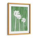 Oasis Iv - James Burghardt | Cuadro decorativo de Canvas Lab