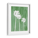 Oasis Iv - James Burghardt | Cuadro decorativo de Canvas Lab