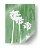 Oasis Iv - James Burghardt | Cuadro decorativo de Canvas Lab