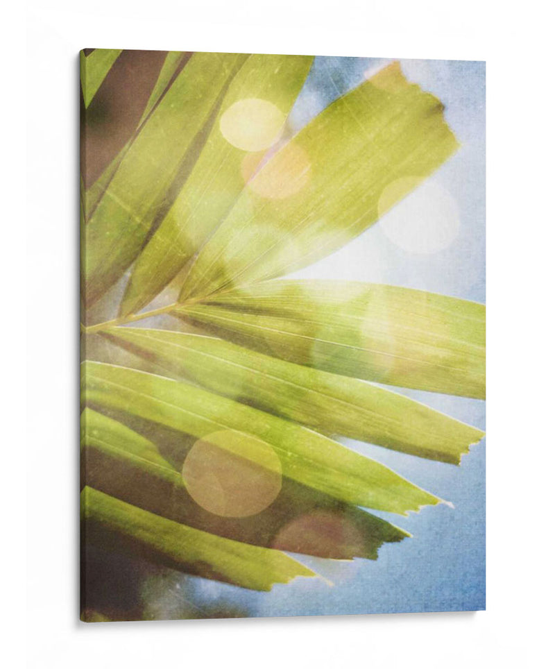 Ensueño Tropical I - Emily Robinson | Cuadro decorativo de Canvas Lab