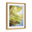 Ensueño Tropical I - Emily Robinson | Cuadro decorativo de Canvas Lab