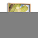 Ensueño Tropical I - Emily Robinson | Cuadro decorativo de Canvas Lab