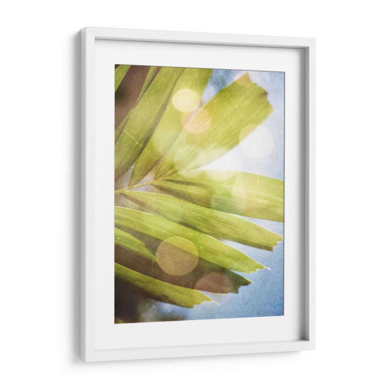 Ensueño Tropical I - Emily Robinson | Cuadro decorativo de Canvas Lab