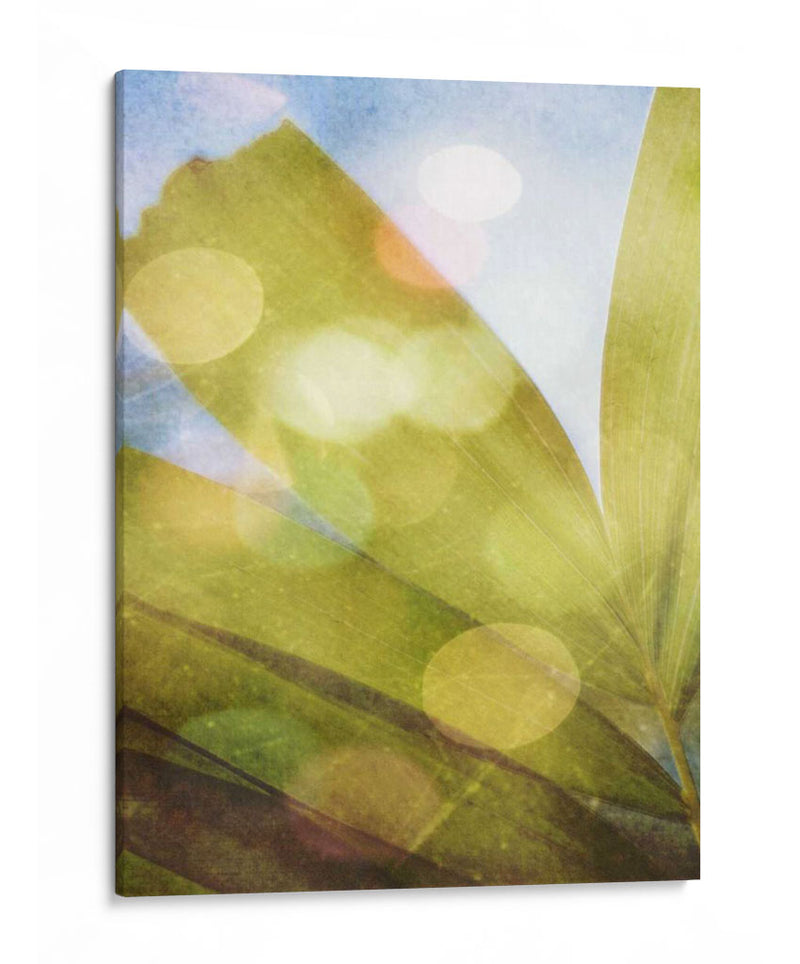 Tropical Danddream Ii - Emily Robinson | Cuadro decorativo de Canvas Lab