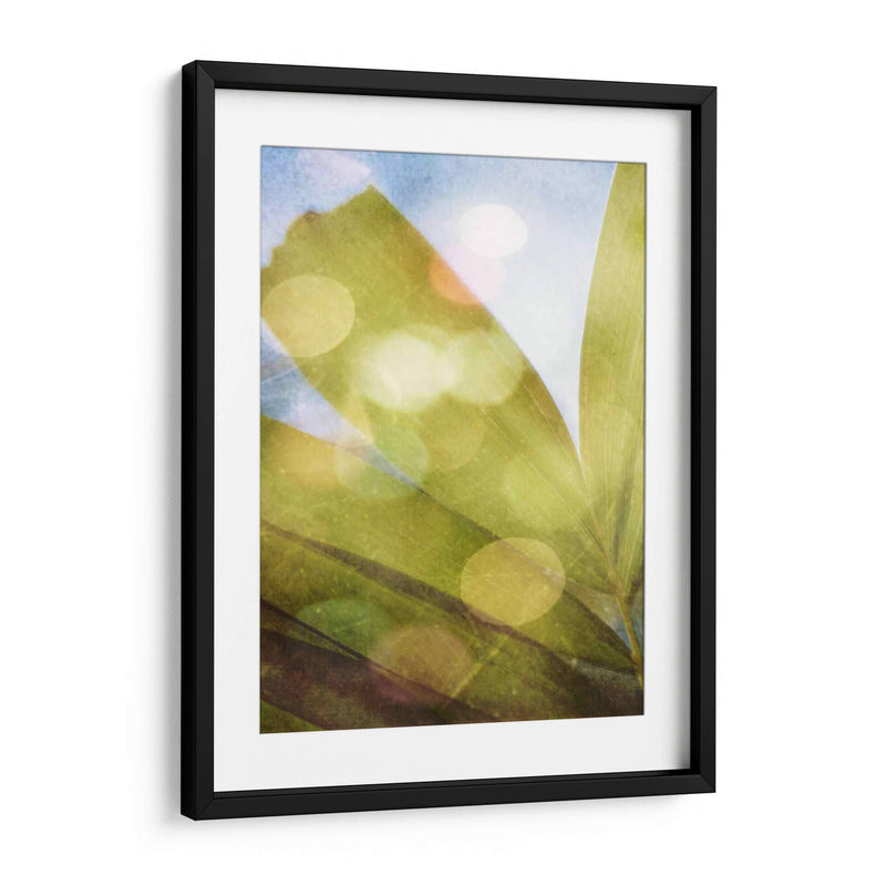 Tropical Danddream Ii - Emily Robinson | Cuadro decorativo de Canvas Lab