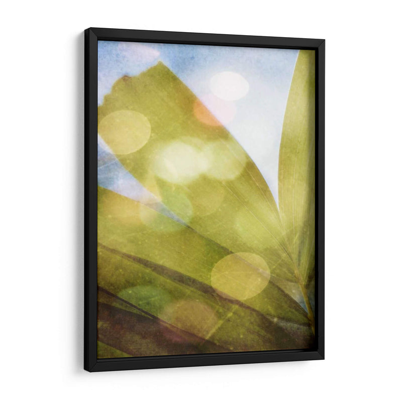 Tropical Danddream Ii - Emily Robinson | Cuadro decorativo de Canvas Lab