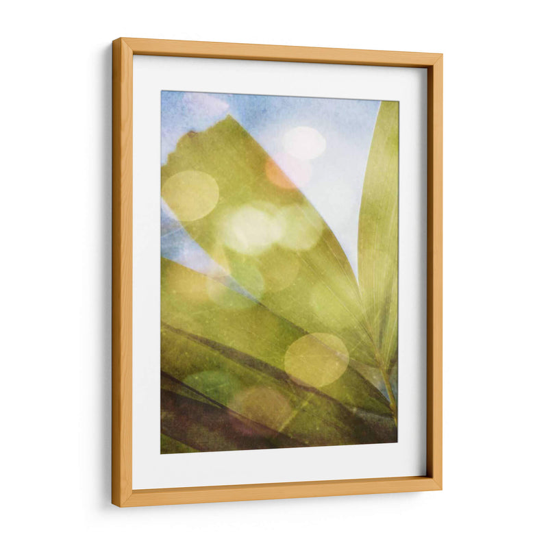 Tropical Danddream Ii - Emily Robinson | Cuadro decorativo de Canvas Lab