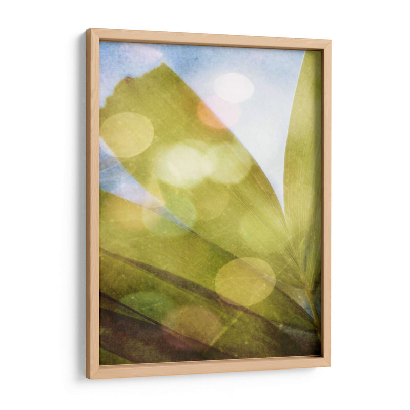 Tropical Danddream Ii - Emily Robinson | Cuadro decorativo de Canvas Lab