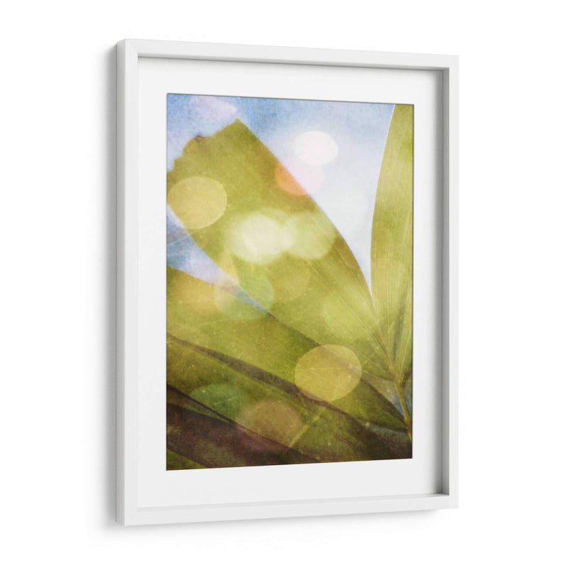 Tropical Danddream Ii - Emily Robinson | Cuadro decorativo de Canvas Lab