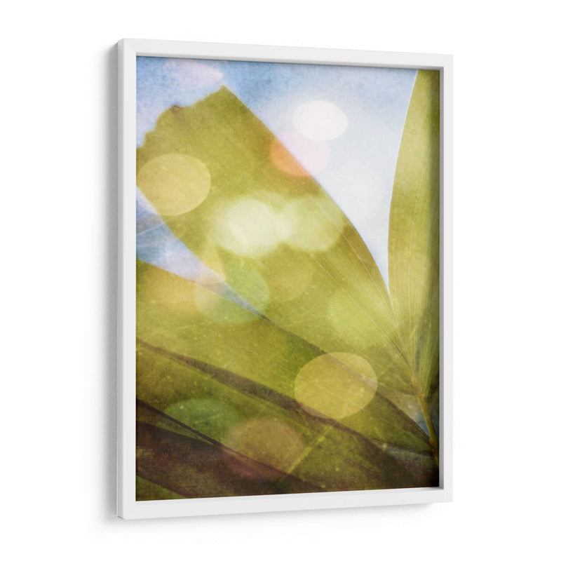 Tropical Danddream Ii - Emily Robinson | Cuadro decorativo de Canvas Lab