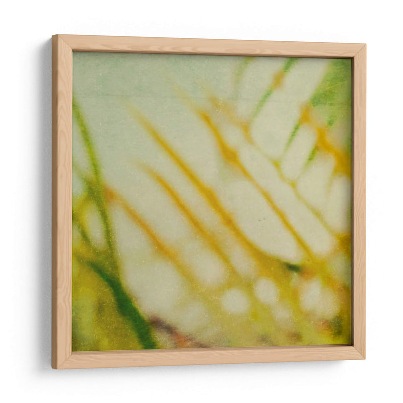 Textura Tropical I - Emily Robinson | Cuadro decorativo de Canvas Lab