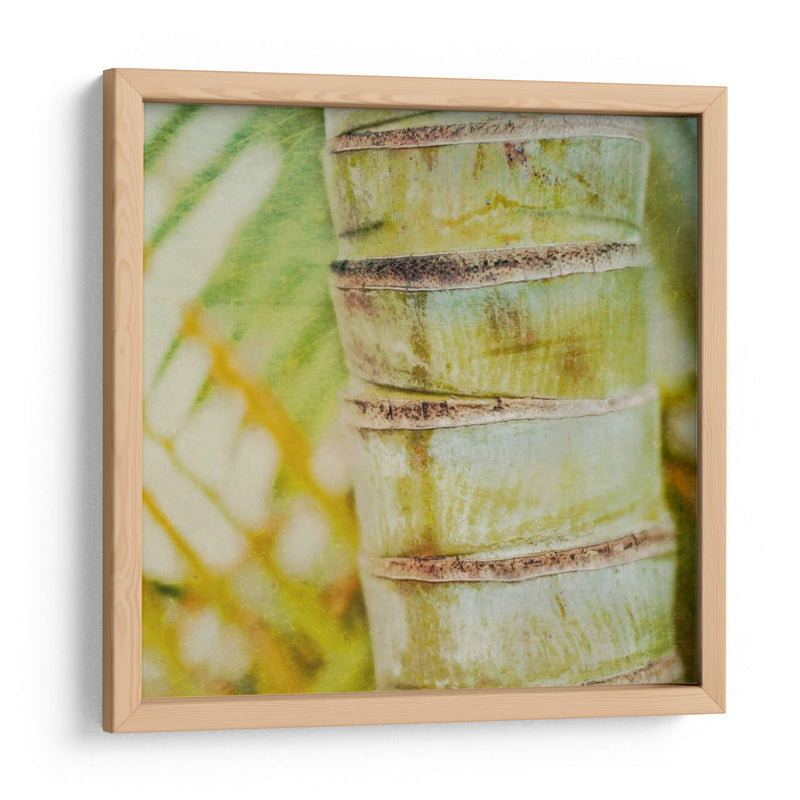 Textura Tropical Ii - Emily Robinson | Cuadro decorativo de Canvas Lab