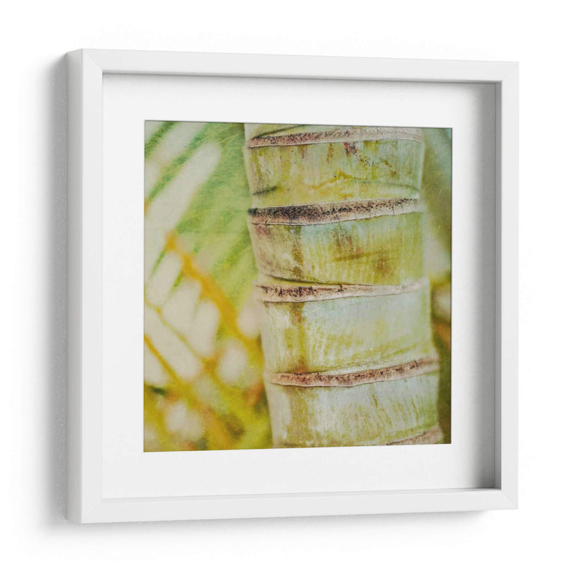 Textura Tropical Ii - Emily Robinson | Cuadro decorativo de Canvas Lab