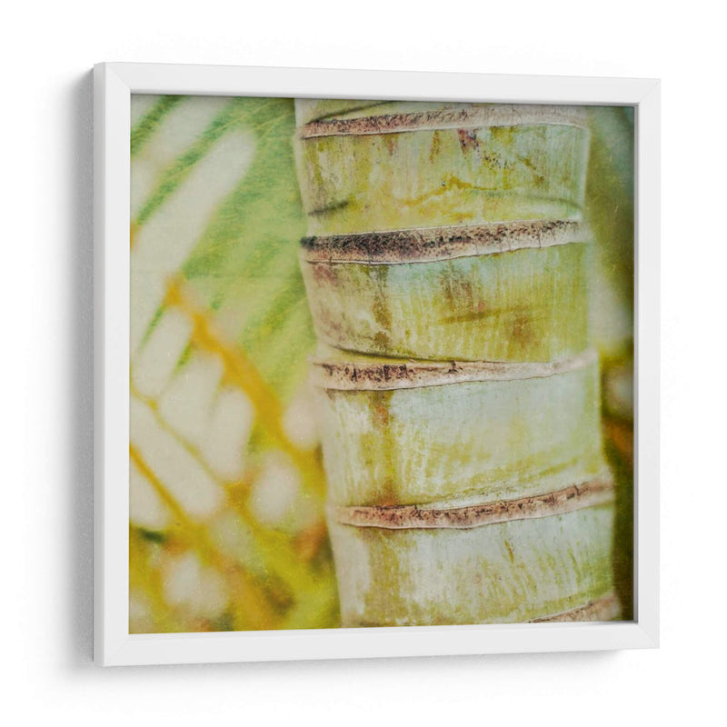 Textura Tropical Ii - Emily Robinson | Cuadro decorativo de Canvas Lab