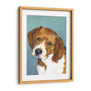 Perro Retrato-Beagle - Jill Sands | Cuadro decorativo de Canvas Lab