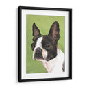 Perro Retrato-Boston - Jill Sands | Cuadro decorativo de Canvas Lab