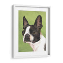 Perro Retrato-Boston - Jill Sands | Cuadro decorativo de Canvas Lab
