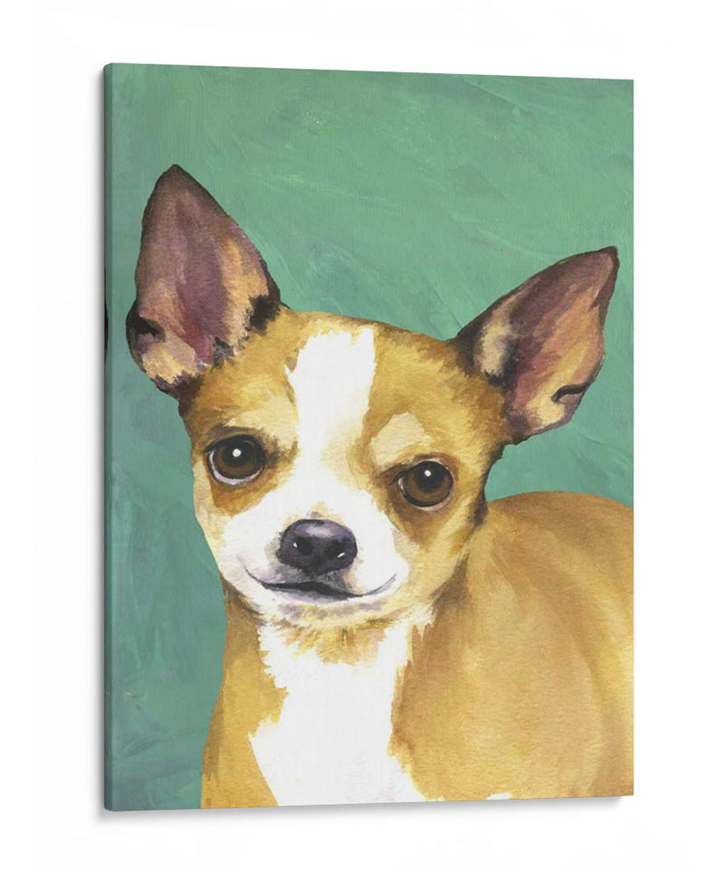 Retrato De Perro-Chihuahua - Jill Sands | Cuadro decorativo de Canvas Lab