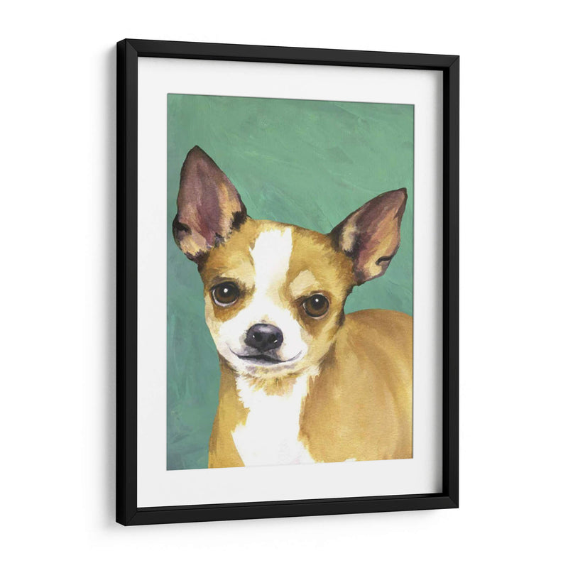 Retrato De Perro-Chihuahua - Jill Sands | Cuadro decorativo de Canvas Lab