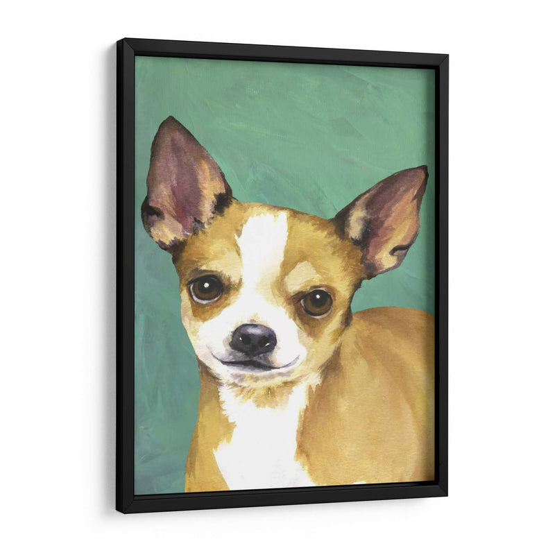 Retrato De Perro-Chihuahua - Jill Sands | Cuadro decorativo de Canvas Lab